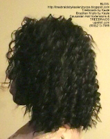 Arbre Braids- Curly Arbre Tresses, arbre droit Tresses, onduleux, Tous