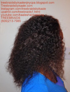 Arbre Braids- Curly Arbre Tresses, arbre droit Tresses, onduleux, Tous