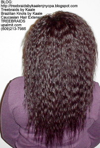 Arbre Braids- Curly Arbre Tresses, arbre droit Tresses, onduleux, Tous