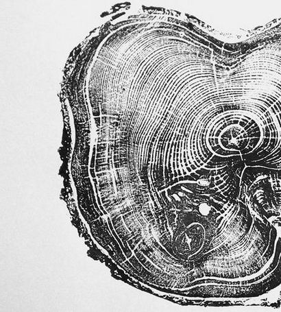 Arbre Anneau Pin Imprimer, copies d'art - Affiches, LintonArt, Scoutmob, Détails du produit (imprimé arbre) Arbre Anneau Pin Imprimer, copies d'art - Affiches, LintonArt, Scoutmob, Détails du produit