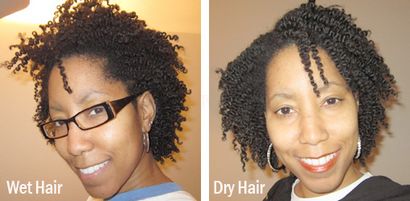 Deux Strand Twist Out - Wet vs