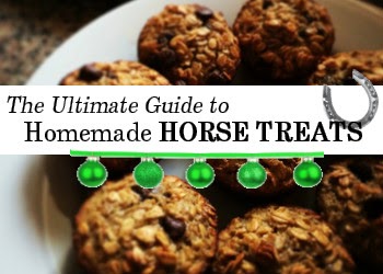 Ultimate Guide zu Hausgemachte Pferd Treat Rezepte, Savvy Reiterin