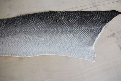 Urine tannées saumon en cuir 8 étapes (avec photos)