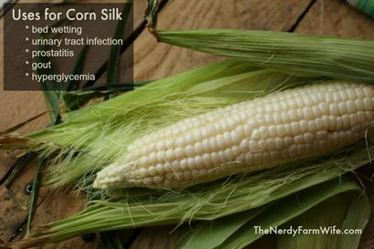 Verwendet für Corn Silk - The Nerdy Farm Ehefrau