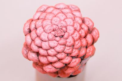 Valu Baumärkten DIY Pine Cone Zinnia Blumen - Valu Baumärkten