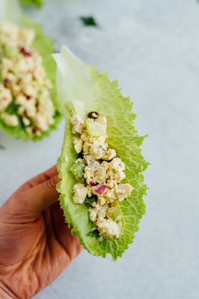 Salade de poulet végétalien - Manger Nourriture pour oiseaux