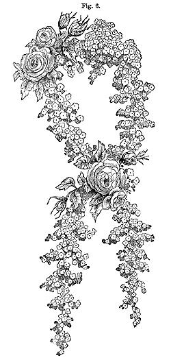 Coiffures de Victoria, Coiffes et les coiffures des années 1860 (coiffe Coiffe composée) Coiffures de Victoria, Coiffes et les coiffures des années 1860