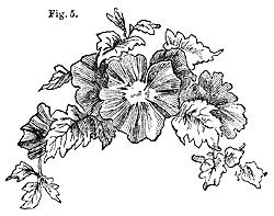 Coiffures de Victoria, Coiffes et les coiffures des années 1860 () chapeauxpour Coiffures de Victoria, Coiffes et les coiffures des années 1860