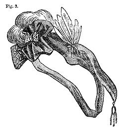 Coiffures de Victoria, Coiffes et les coiffures des années 1860 (coiffe Coiffe composée) Coiffures de Victoria, Coiffes et les coiffures des années 1860
