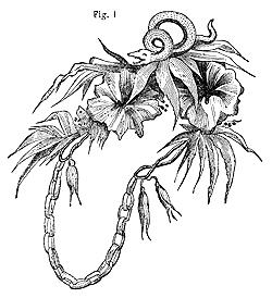 Coiffures de Victoria, Coiffes et les coiffures des années 1860 () chapeauxpour Coiffures de Victoria, Coiffes et les coiffures des années 1860
