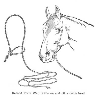 Guerre Bridons sont-ils pour votre cheval (guerre de brides) Guerre Bridons sont-ils pour votre cheval