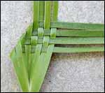 Le tissage d'une fleur de lin