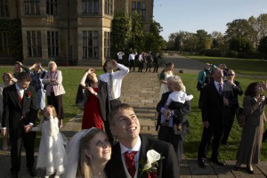 Hochzeit Ideen, Buzzy Bee Hochzeiten