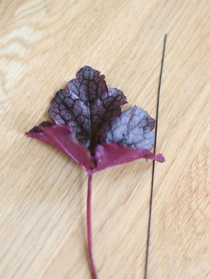 Mariage mercredi - Faire les boutonnières ou boutonnières - Pivoines - Posies