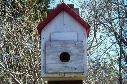 Was sind Vogelroosting Boxes