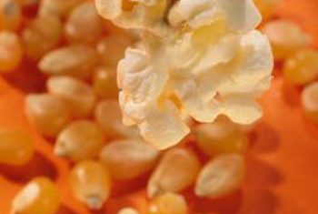 Welche Arten von Maispflanzen Machen Popcorn, Heimleiter, SF-Tor