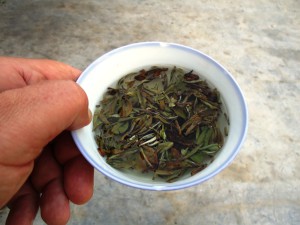 Blanc thés Bai Mu Dan & amp; Anji Bai Cha, Blog Canton Tea Co