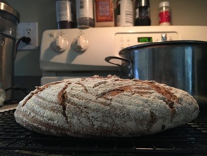 Ganzes Dinkelsauerteigbrot, Breadtopia