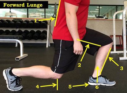 Warum Reverse-Lunges sind besser als nach vorne Lunges, STACK