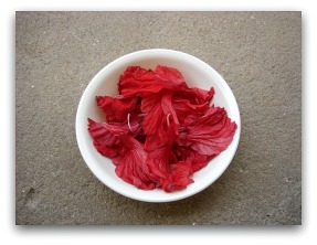 Wildturmeric bricolage Comment faire Hibiscus huile pour la croissance des cheveux