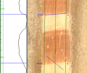 WinDENDRO, un système d'analyse d'images pour l'analyse des cernes annuels d'arbres