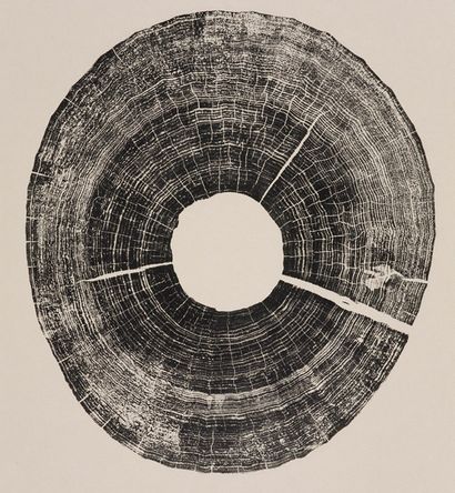Gravure sur bois Prints Showcase la beauté du Tree Rings, Blog DeepRoot