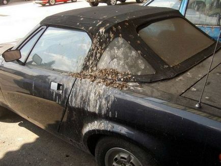 15 hasznos tipp, ami segít „tisztítsák meg a tollakat saját autóval (auto) 15 hasznos tipp, ami segít „tisztítsák meg a toll saját autó
