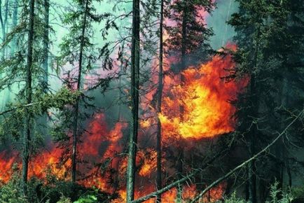 Az erdőtüzek kockázatát