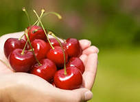 Mennyire hasznos cseresznye, néhány kalória cseresznye, mi haszna a cseresznye, a jótékony tulajdonságait fekete cseresznye,