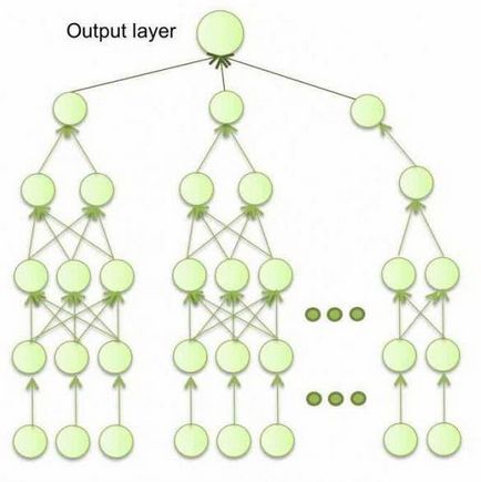 Mi a topológia, amelynek célja a helyi hálózati topológia