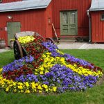 Virágok az országban nevek - 58 képek