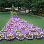 Virágok az országban nevek - 58 képek