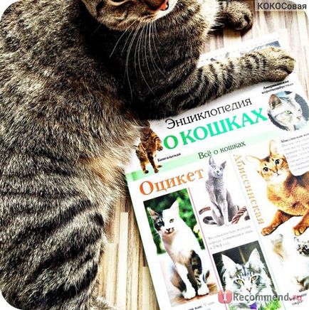 Encyclopedia of the Cat