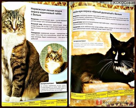 Encyclopedia of the Cat