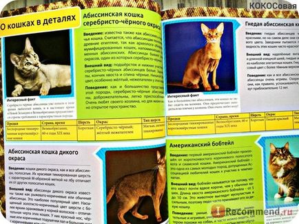 Encyclopedia of the Cat