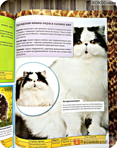 Encyclopedia of the Cat