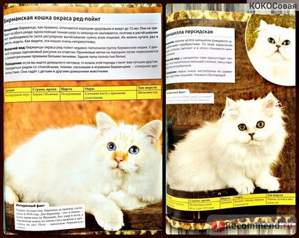 Encyclopedia of the Cat