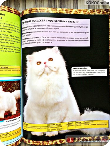 Encyclopedia of the Cat