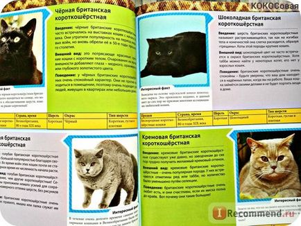 Encyclopedia of the Cat