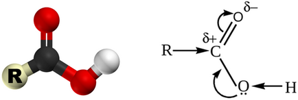 Formula karbonsav Chemistry