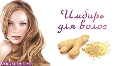 Ginger haj 14 házi receptek és vélemények