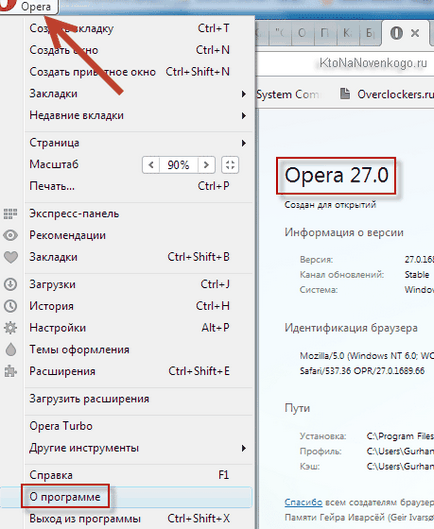 Hogyan kell telepíteni az ingyenes Google Chrome, Yandex böngésző, az Opera és az Internet Explorer Mazilu a