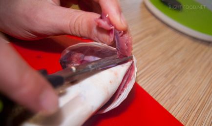 Hogyan tisztítható a hal, hogyan kell eltávolítani a kopoltyúk a bél