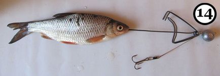 Mi a jobb csali - természetes vagy mesterséges - ragadozó halászat snastochku döglött hal