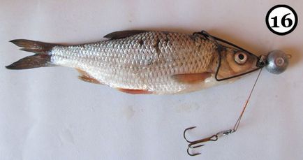 Mi a jobb csali - természetes vagy mesterséges - ragadozó halászat snastochku döglött hal