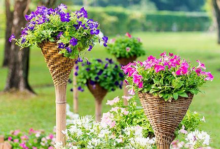 Milyen virágokat lehet ültetni júniusban, magvak, gumók vagy palánták