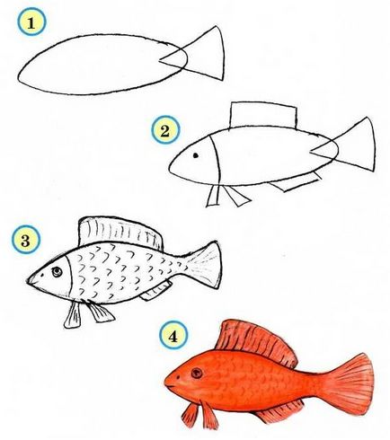 Hogyan kell felhívni a hal akvárium baba