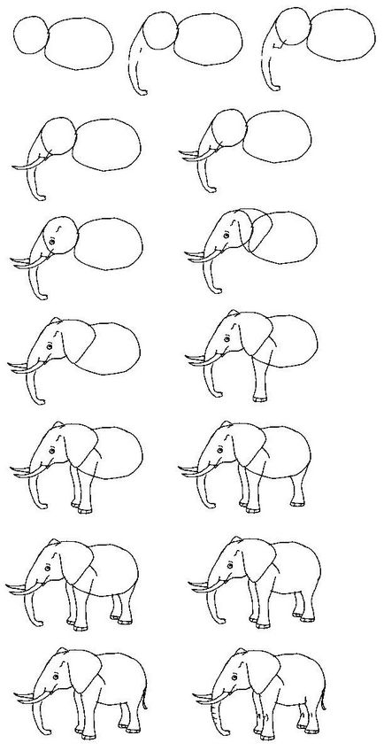 Hogyan kell felhívni egy elefánt