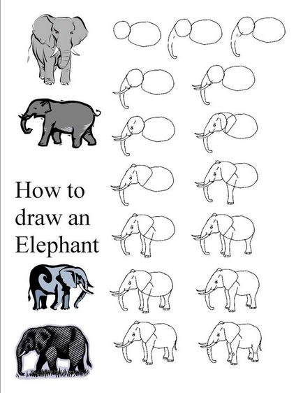 Hogyan kell felhívni egy elefánt