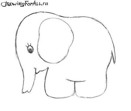 Hogyan kell felhívni egy elefánt kezdőknek
